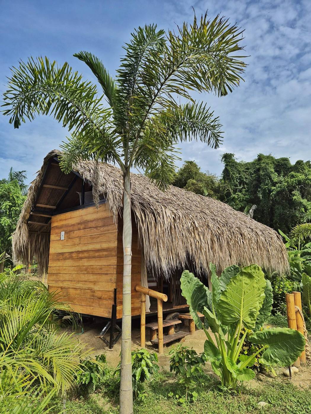 Cabaña Selvática