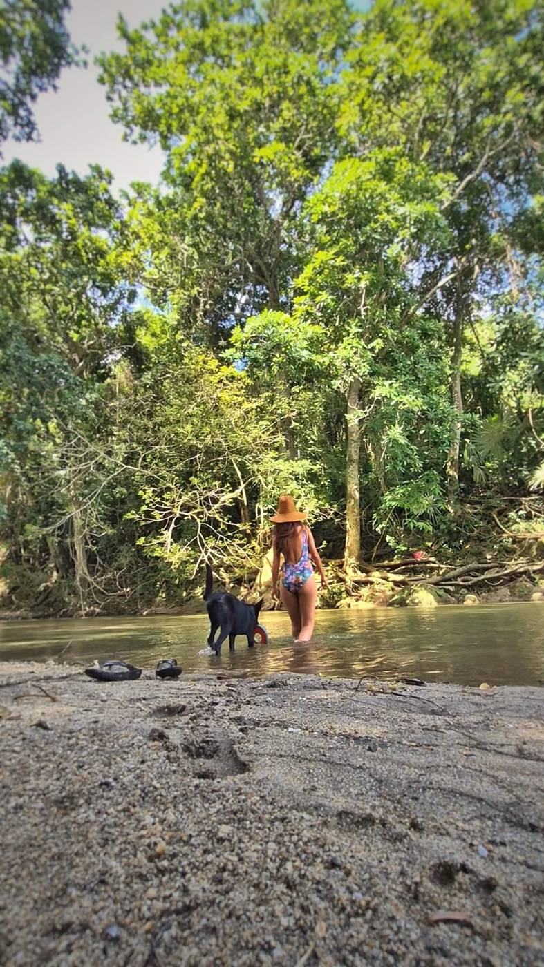 Una persona y un perro en el río, bajo los árboles